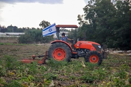 Thiếu hụt lao động do xung đột, Israel phát động phong trào 'giải cứu' nông dân