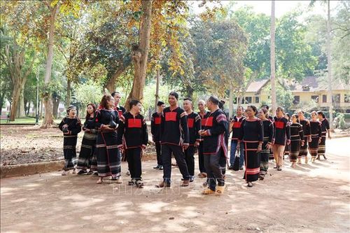 Độc đáo nghi thức 'rước rể' của người Ê Đê ở Tây Nguyên