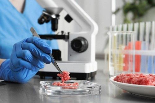 Italy cấm sản xuất, kinh doanh thịt nuôi cấy trong phòng thí nghiệm