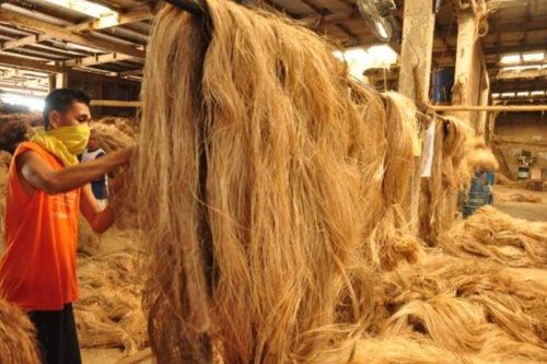 Một loại 'cây vàng cây bạc' mọc khắp Việt Nam giúp thu về nửa tỷ USD trong 9 tháng: Mỹ, Nhật Bản, Vương quốc Anh cực ưa chuộng, nước ta nằm trong danh sách 'trùm' của thế giới