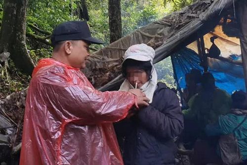 Người phụ nữ đi lạc trong rừng 5 ngày, bất ngờ với cách sinh tồn nơi rừng thiêng