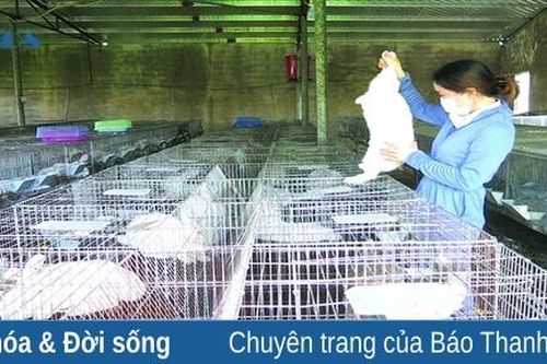 Thanh Hóa phấn đấu đạt mục tiêu xây dựng nông thôn mới năm 2023