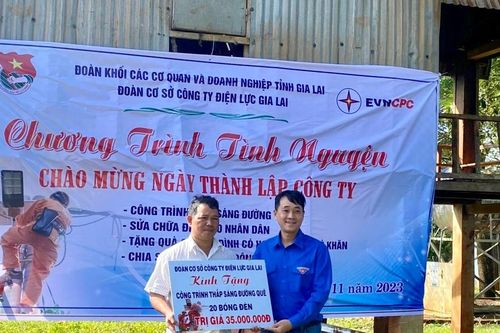 Bàn giao công trình 'Thắp sáng đường quê' cho người dân làng Rồi, xã Ia Phí