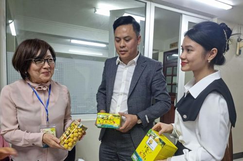 Trà hoa vàng Ba Chẽ vào tầm ngắm của thương gia Nhật Bản