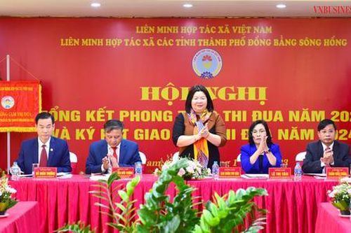 'Tiếp sức' để HTX Cụm Đồng bằng sông Hồng bứt phá
