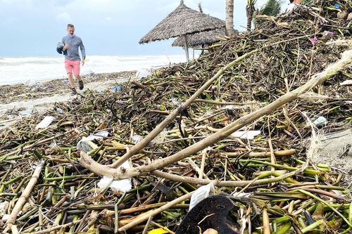 Rác thải, lục bình tràn ngập bãi biển đẹp nhất châu Á ở Hội An