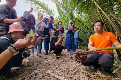 Vietnipa đánh thức tiềm năng cây dừa nước trong phát triển kinh tế xanh