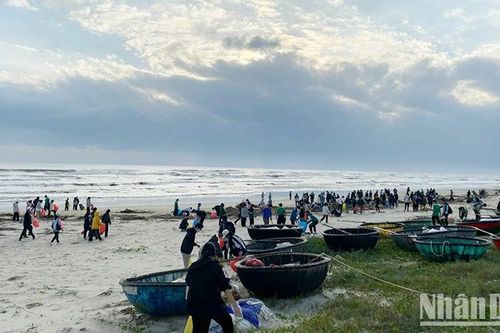 2.000 đoàn viên, thanh niên dọn rác dọc bãi biển Đà Nẵng