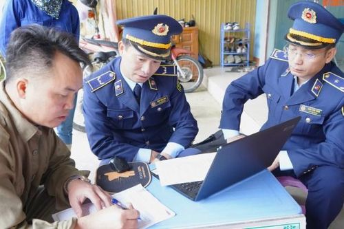 Ngăn chặn thủ đoạn nhuộm màu xanh gạo đặc sản ngon nhất Lào Cai để lừa bán giá cao