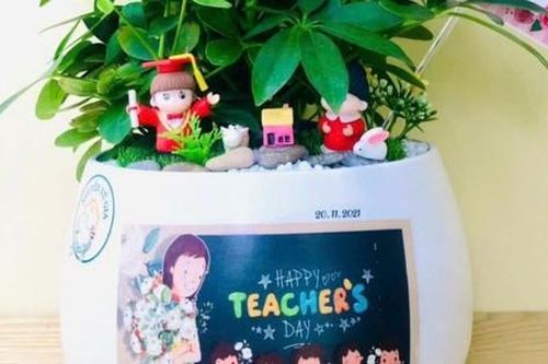 Thị trường 20/11: Nhiều quà tặng vừa tiền, đẹp mắt, ý nghĩa