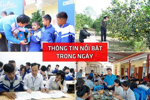 Nghệ An: Thông tin nổi bật ngày 19/11