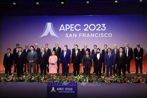 Khẳng định vị thế Việt Nam trong APEC