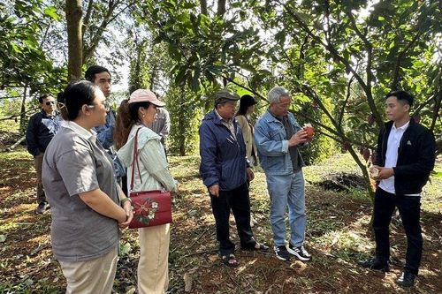 Giải pháp nào giúp nông nghiệp, du lịch tỉnh Đắk Nông phát triển?