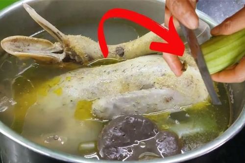 Cắt nhỏ loại quả này rồi thả vào nồi luộc vịt: Thịt đậm vị, hết sạch mùi hôi