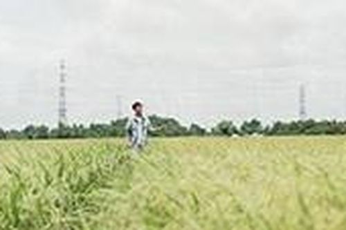 Giải trí cuối tuần