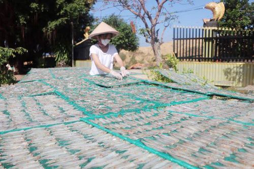 Chuyên đề: Đồng Nai - nơi hội tụ giá trị thiên nhiên, văn hóa và du lịch: Kết nối sản phẩm địa phương với du lịch