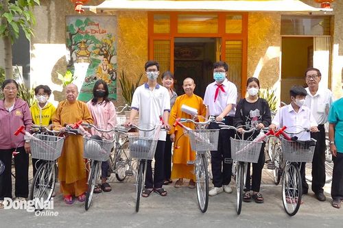 Khắp nơi trong tỉnh chiều 19-11-2023