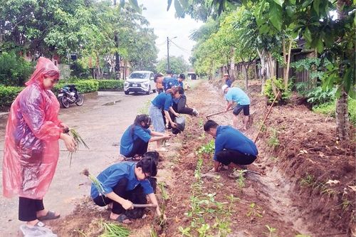 Định hình đô thị văn minh