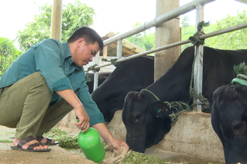 Bước qua hủ tục, làm giàu trên quê hương Hướng Hóa