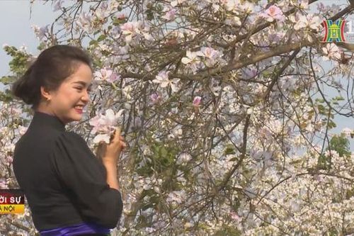 Năm Du lịch quốc gia Điện Biên, sự kiện được mong đợi