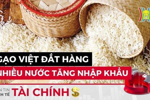 Bản tin Kinh tế Tài chính | 19/11/2023