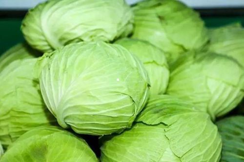 Loại rau là 'vua rau', axit folic gấp 38 lần táo, ngừa thiếu máu, ăn vào cực bổ