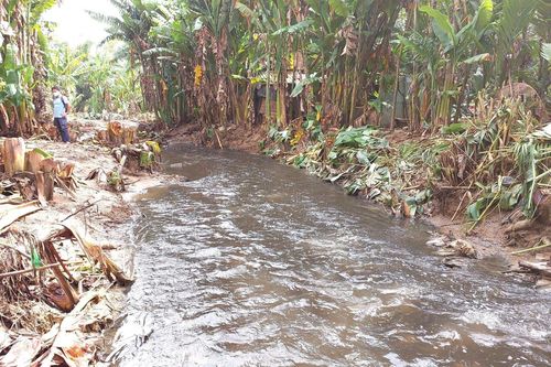 Nước hôi thối từ bãi rác 'đầu độc' khu dân cư ở Đà Nẵng: Chủ đầu tư nói gì?