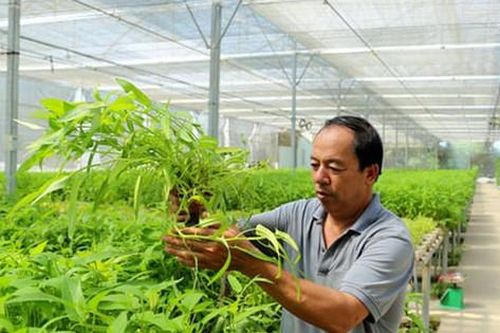 Cơ hội cho nông nghiệp Thủ đô bứt phá