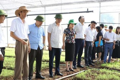 Tạo dựng hệ sinh thái số nông nghiệp