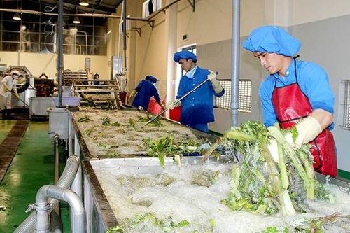 Làm thế nào để việc trồng, chế biến dược liệu đủ phục vụ nhu cầu trong nước?
