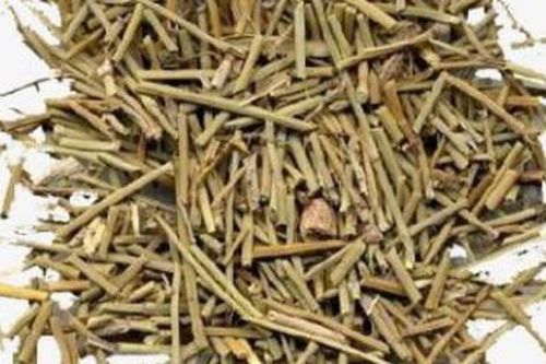 Bài thuốc trị các trường hợp hen suyễn khi trời lạnh