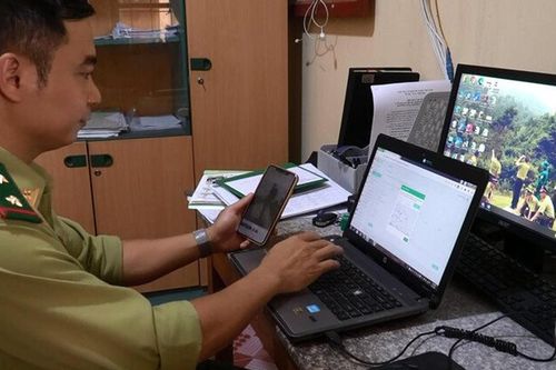 Ngành lâm nghiệp tích cực chuyển đổi số