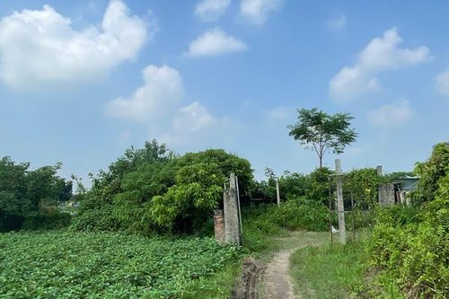 Huyện Thường Tín sẽ cưỡng chế thu hồi 13.584m2 đất ở xã Ninh Sở