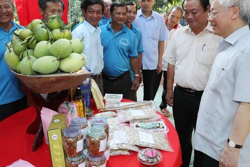 Đồng Tháp: Lan tỏa Hội quán đất Sen Hồng