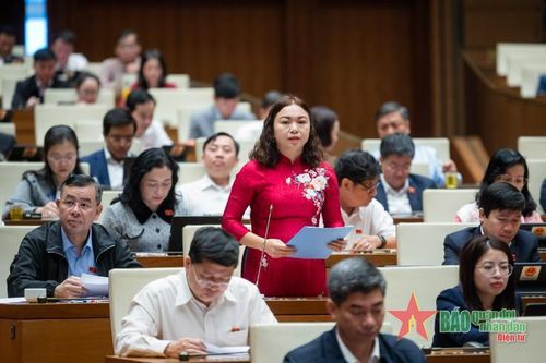 Đại biểu Quốc hội: Không để tình trạng kéo dài trong giải quyết kiến nghị của cử tri