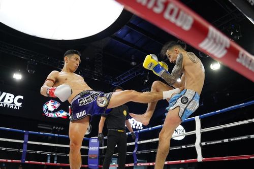 Trương Cao Minh Phát giành đai WBC Muay Thai thế giới, Huỳnh Hoàng Phi nối dài thành tích ấn tượng