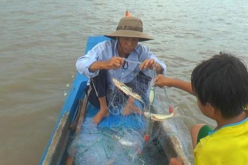 Người khuyết tật mưu sinh nghề biển