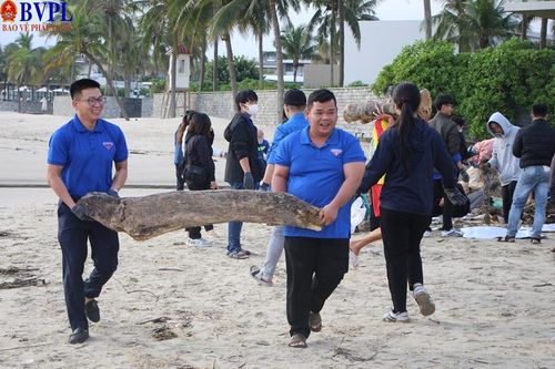 Gần 2.000 thanh niên Đà Nẵng dọn rác bãi biển sau mưa lũ
