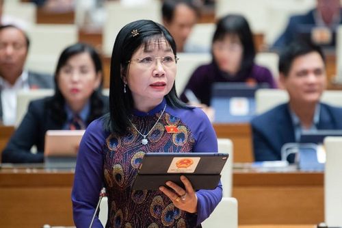 Đại biểu Quốc hội: Một số văn bản trả lời kiến nghị của cử tri không kịp thời, không cụ thể