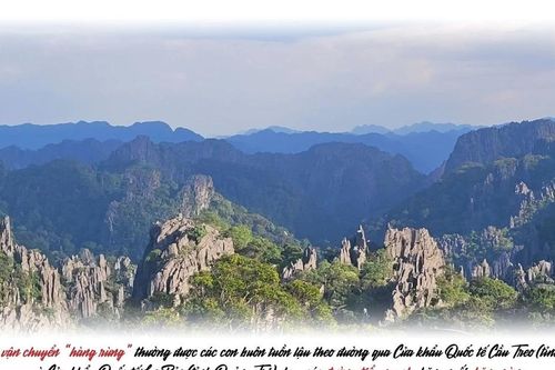 Tăng phối hợp đa ngành để kiểm soát buôn lậu động vật hoang dã xuyên biên giới