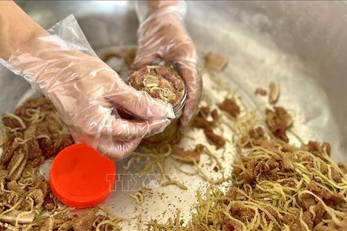Du lịch làng nghề 'đánh thức' tiềm năng sẵn có nơi đất Tổ