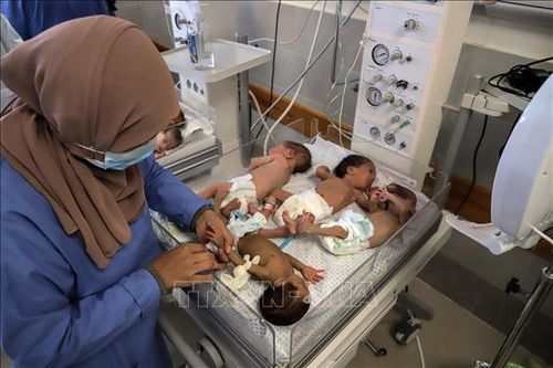 28 trẻ sinh non sơ tán từ bệnh viện Al-Shifa tới Ai Cập an toàn
