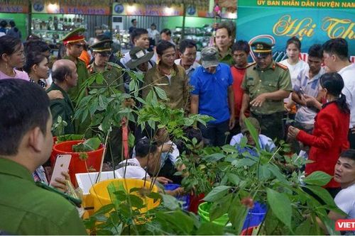 300 gian hàng tham gia hội chợ dược liệu, y dược cổ truyền toàn quốc