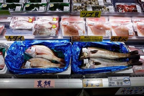 Xuất khẩu hải sản Nhật Bản sang Trung Quốc giảm tới 99%