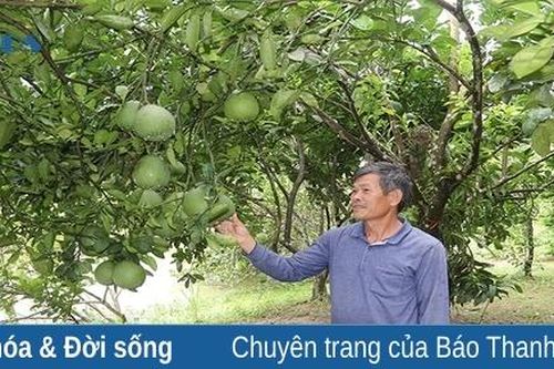 Cựu chiến binh Lê Sỹ Xuân làm kinh tế giỏi