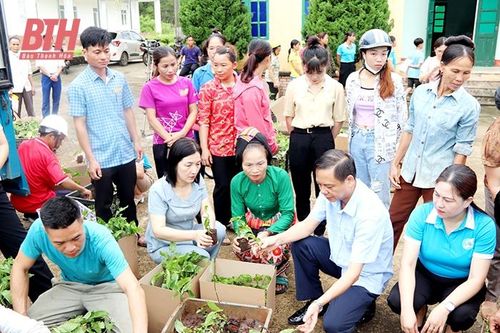 Vai trò của phụ nữ trong phát triển nghề, tạo việc làm cho phụ nữ nông thôn
