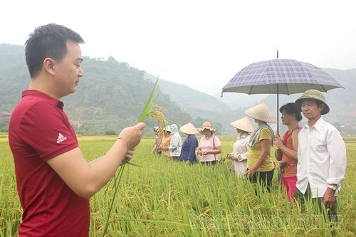 Thay đổi tư duy sản xuất để giảm nghèo
