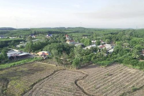 Rà soát thực trạng xây dựng nông thôn mới theo các bộ tiêu chí xã nông thôn mới đến năm 2025