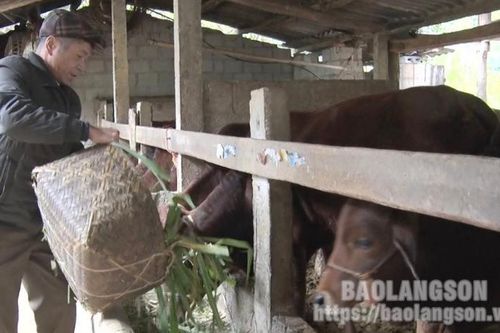 Bình Thượng 14 năm liền đạt 'khu dân cư văn hóa'