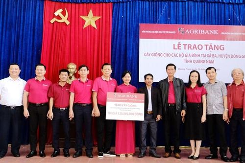 Đoàn Thanh niên Agribank khu vực Tây Nam bộ: Hỗ trợ cây giống cho bà con nghèo ở Quảng Nam